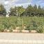 land for sale kato polemidia limassol 8705650 thumbnail 16259098