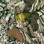 plot for sale tsada paphos 1898650 thumbnail 14219984