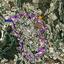 plot for sale tsada paphos 1898650 thumbnail 14219986