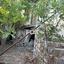 studio detached house for sale lofou limassol 1161650 thumbnail 3166626