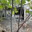studio detached house for sale lofou limassol 1161650 thumbnail 3166639