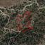 land for sale sykopetra limassol 862750 thumbnail 5481242