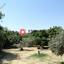 land for sale skarinou larnaca 1306850 thumbnail 13892695