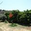 land for sale skarinou larnaca 1306850 thumbnail 13892697