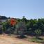 land for sale skarinou larnaca 1306850 thumbnail 13892698