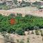 land for sale skarinou larnaca 1306850 thumbnail 13892701