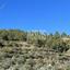 17480 SQM Land for sale in Kalo Chorio Oreinis, Nicosia thumbnail 13640998