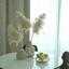 2 bedroom apartment for rent potamos germasogeias limassol 1593950 thumbnail 16631075