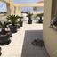 3 bedroom penthouse for sale pervolia larnaca 8581950 thumbnail 15678435