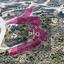 land for sale kato pyrgos nicosia 8274950 thumbnail 15156533