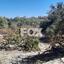 land for sale tsada paphos 1307950 thumbnail 14831292
