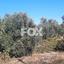 land for sale tsada paphos 1307950 thumbnail 14831296