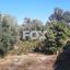 land for sale tsada paphos 1307950 thumbnail 14831298