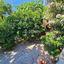 3 bedroom detached house for sale kamares tala paphos 8931060 thumbnail 17602690