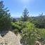 3 bedroom detached house for sale kamares tala paphos 8931060 thumbnail 17602704