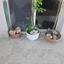 3 bedroom semi detached house for sale kolossi limassol 1855160 thumbnail 6742313