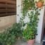 3 bedroom semi detached house for sale kolossi limassol 1855160 thumbnail 6742318
