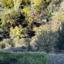 land for sale palaichori morfou nicosia 7452160 thumbnail 15597197