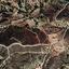 land for sale lageia larnaca 879260 thumbnail 1056828