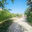 land for sale neo chorio paphos 8623260 thumbnail 15836966