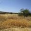 land for sale orounta nicosia 1084260 thumbnail 6815303