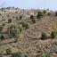 10703 SQM Land for sale in Agia Anna, Larnaca thumbnail 15873445