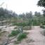 land for sale softades larnaca 7870460 thumbnail 11377883