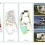land for sale souni zanakia limassol 8359460 thumbnail 14534886