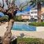 2 bedroom apartment for sale anarita paphos 8336560 thumbnail 14334661