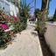 3 bedroom detached house for rent agios andreas nicosia nicosia 8748560 thumbnail 16466191
