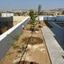 3 bedroom detached house for sale dekeleia larnaca 8350560 thumbnail 14430373