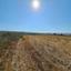 land for sale ineia paphos 1869560 thumbnail 6906605