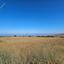 land for sale ineia paphos 1869560 thumbnail 6906606