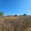 land for sale ineia paphos 1869560 thumbnail 6906607