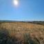 land for sale ineia paphos 1869560 thumbnail 6906609
