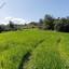 land for sale klirou nicosia 8726560 thumbnail 16332077