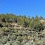 land for sale palaichori oreinis nicosia 8022560 thumbnail 12832920