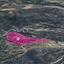 19559 SQM Land for sale in Agios Isidoros, Paphos thumbnail 15869471