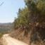 7284 SQM Land for sale in Xyliatos, Nicosia thumbnail 6818905