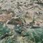 land for sale anglisides larnaca 1442660 thumbnail 3002593