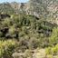 land for sale moutoullas nicosia 8537660 thumbnail 15494061