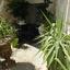 4 bedroom ground floor apartment for sale agia zoni limassol 1868760 thumbnail 6897494