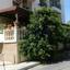 4 bedroom ground floor apartment for sale agia zoni limassol 1868760 thumbnail 6897525