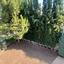 3 bedroom detached house for rent agios athanasios limassol 1877860 thumbnail 14894082