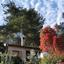 3 bedroom detached house for sale foini limassol 1593860 thumbnail 17283824