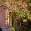 3 bedroom town house for sale kato paphos paphos 1766860 thumbnail 17254590