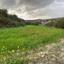 land for sale pissouri limassol 1616860 thumbnail 6608477