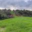 land for sale pissouri limassol 1616860 thumbnail 6608480