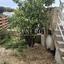3 bedroom detached house for rent mesogi paphos 8640070 thumbnail 15913626