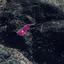 land under offer kaminaria limassol 1057070 thumbnail 15356726